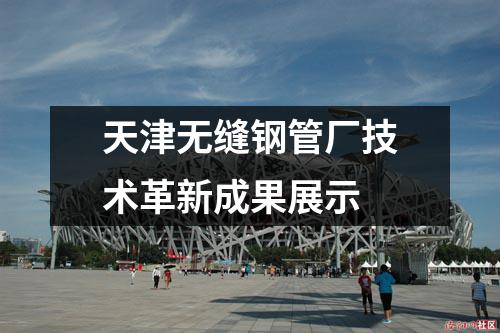 天津無縫鋼管廠技術(shù)革新成果展示