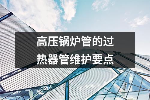 高壓鍋爐管的過熱器管維護(hù)要點(diǎn)